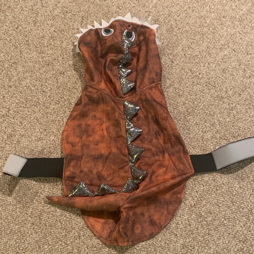 Brown Dinosaur Pet Costume